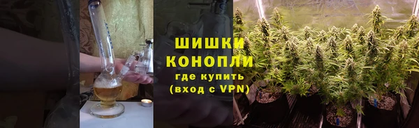 дживик Вязьма