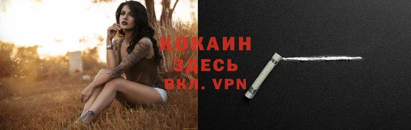 дживик Вязьма
