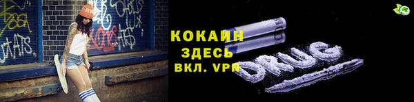 дживик Вязьма