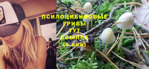 дживик Вязьма