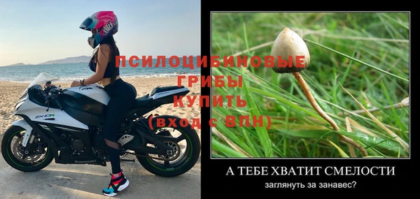 2c-b Вязники