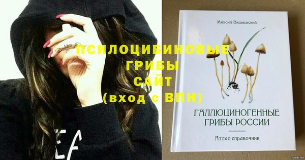 2c-b Вязники