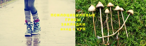 дживик Вязьма