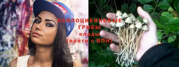 дживик Вязьма