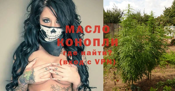 индика Горно-Алтайск