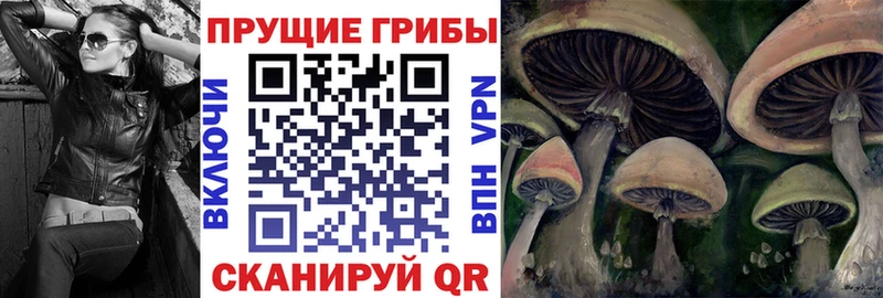 Галлюциногенные грибы мицелий Зерноград